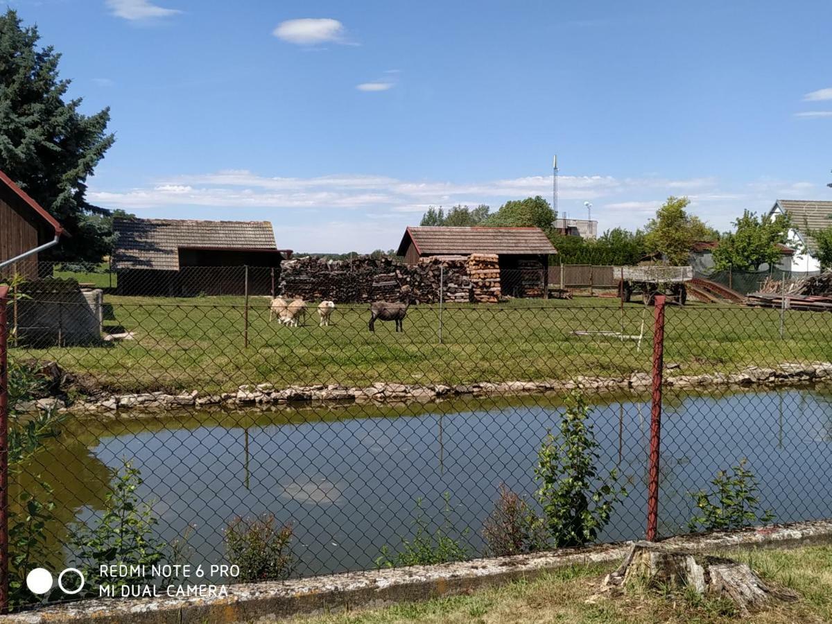 Ubytovani Ve Stodole Stráž nad Nežárkou Dış mekan fotoğraf